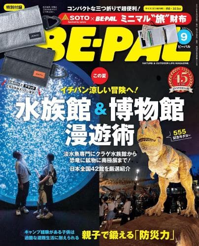 BE-PAL260900
